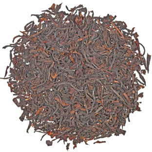 BioST Mozambique Monte Metilile