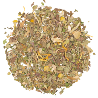 Bio KT Bio Fastentee Bio Kr�utertee