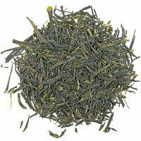 GT Sencha &quote;Miyazaki&quote;