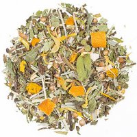 BIO KT Jung & Fit DE-KO-006