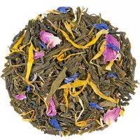 BIO GT Aufpppeltrank Tropic-Zitrus-Geschmack DE-KO-006