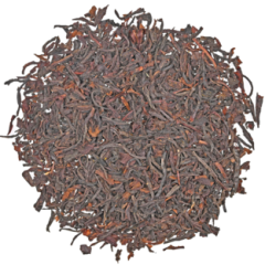 BioST Mozambique Monte Metilile