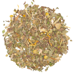 Bio KT Bio Fastentee Bio Kr�utertee